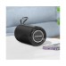 Портативна Bluetooth колонка Borofone BR37 TWS з LED підсвіткою black