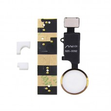 Шлейф для APPLE iPhone 7/7 Plus / 8/8 Plus з кнопкою HOME, Bluetooth, біло-золотиста, універсальна, без Touch ID
